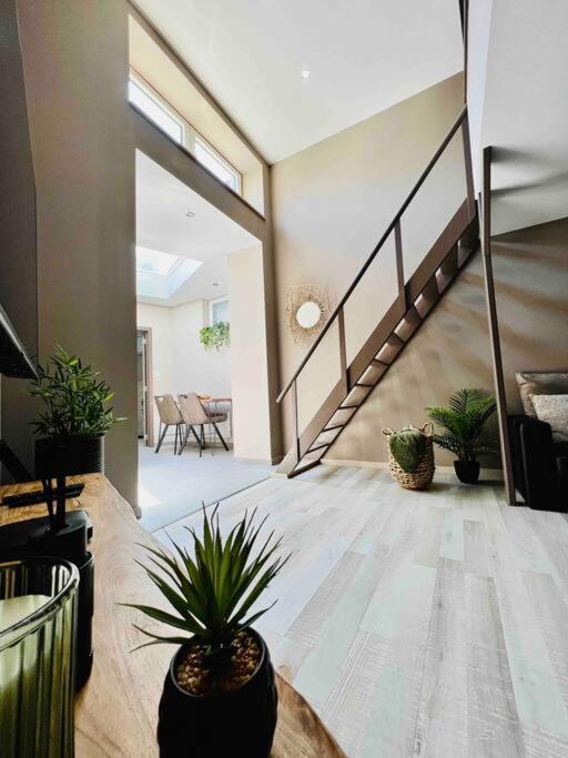 Appartement Tropical *