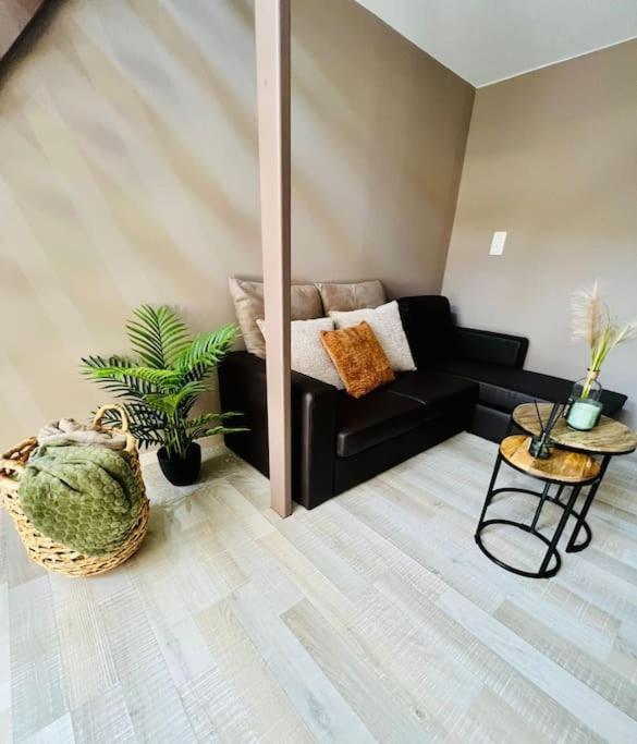 Appartement Tropical *